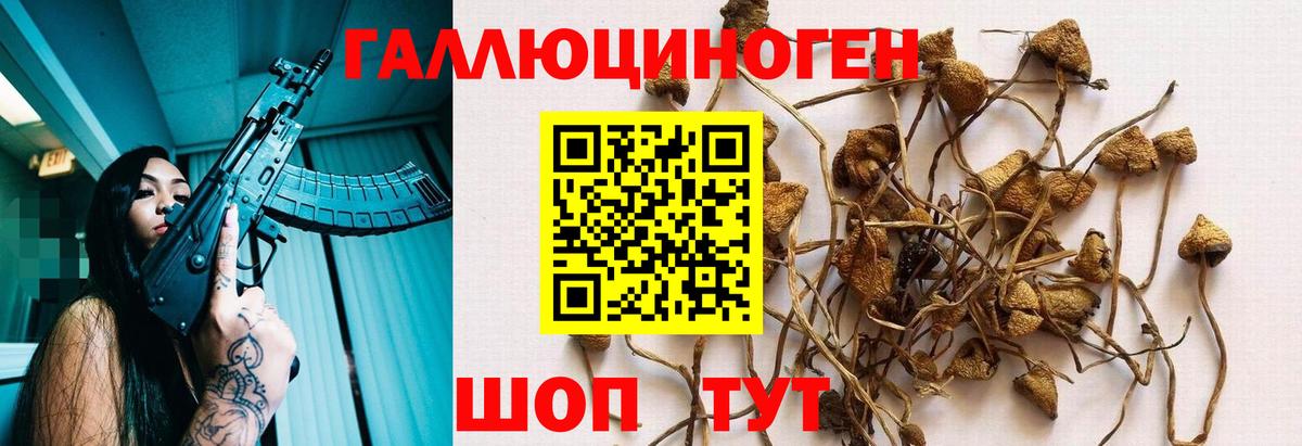 Галлюциногенные грибы MAGIC MUSHROOMS Томск